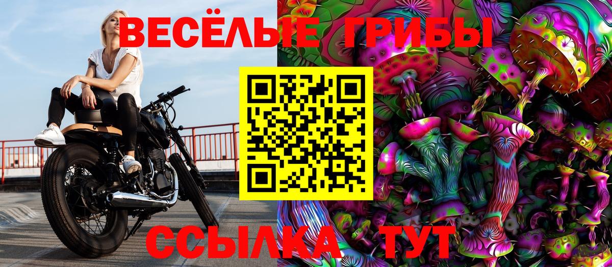 Галлюциногенные грибы Cubensis Кропоткин