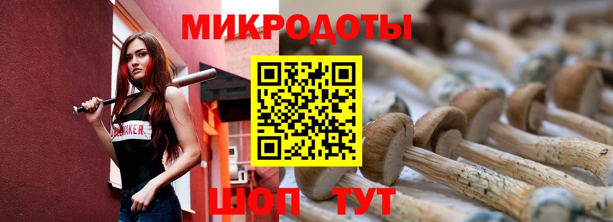 Кропоткин  Галлюциногенные грибы мицелий  магазин продажи наркотиков  Галлюциногенные грибы Psilocybe  Вход с VPN 